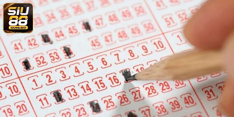 Cách đánh con giáp lô đề hiệu quả