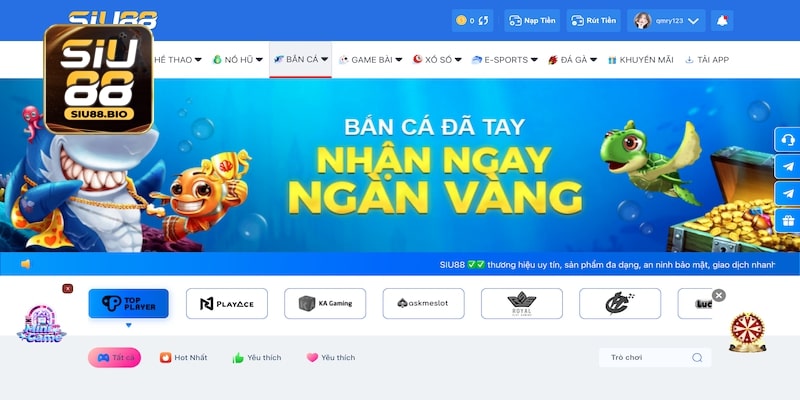 Giải đáp mọi thắc mắc về thương hiệu Siu88