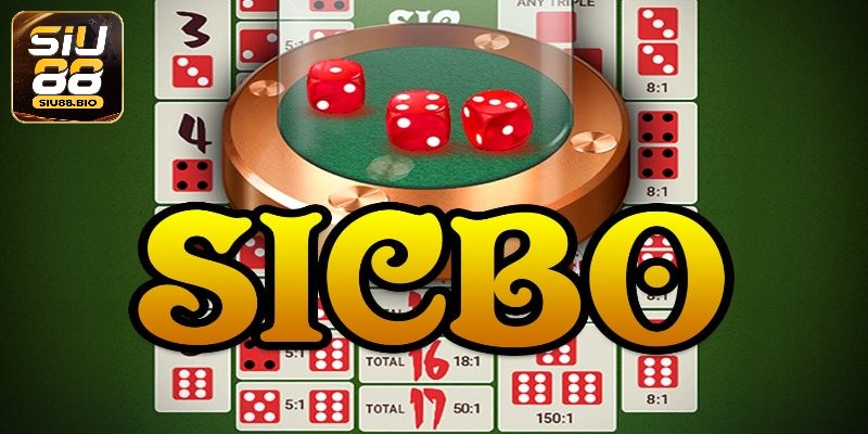 Nắm vững luật chơi Sicbo chỉ trong vài bước đơn giản