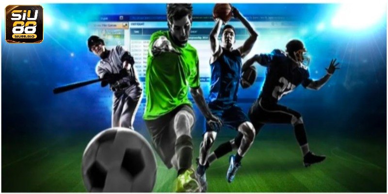 Sảnh thể thao với rất nhiều ưu điểm vượt trội