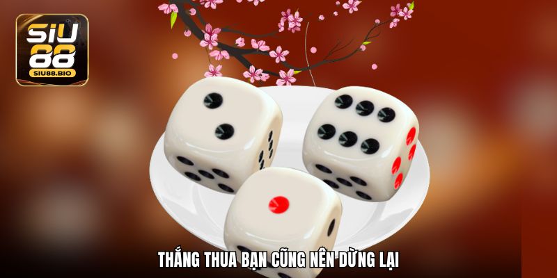 Thắng thua bạn cũng nên dừng lại