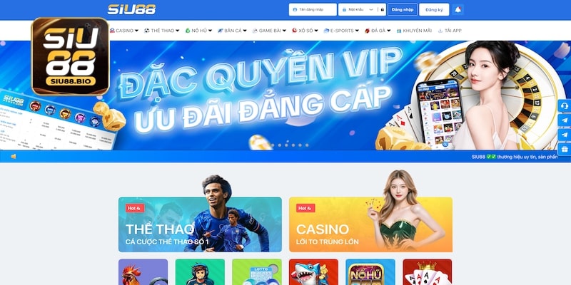 Thông tin cơ bản về thiên đường cá cược Siu88