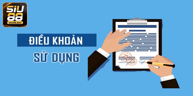 Tổng hợp quy định về tài khoản cá cược Siu88