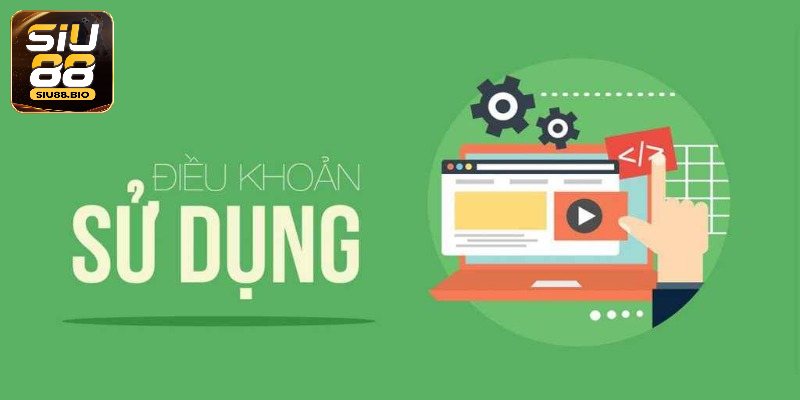 Vài nét về điều khoản sử dụng Siu88